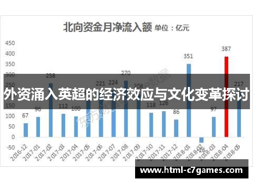 外资涌入英超的经济效应与文化变革探讨