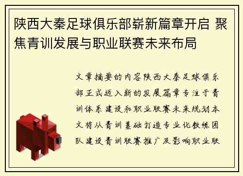 陕西大秦足球俱乐部崭新篇章开启 聚焦青训发展与职业联赛未来布局