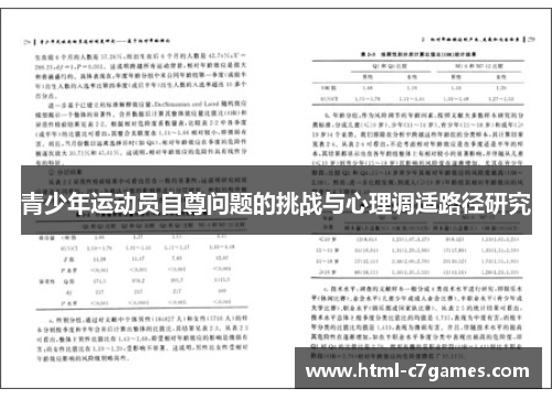 青少年运动员自尊问题的挑战与心理调适路径研究